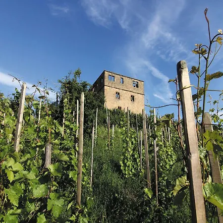 Maison d'hôtes Gaestehaus Schlegel 3*