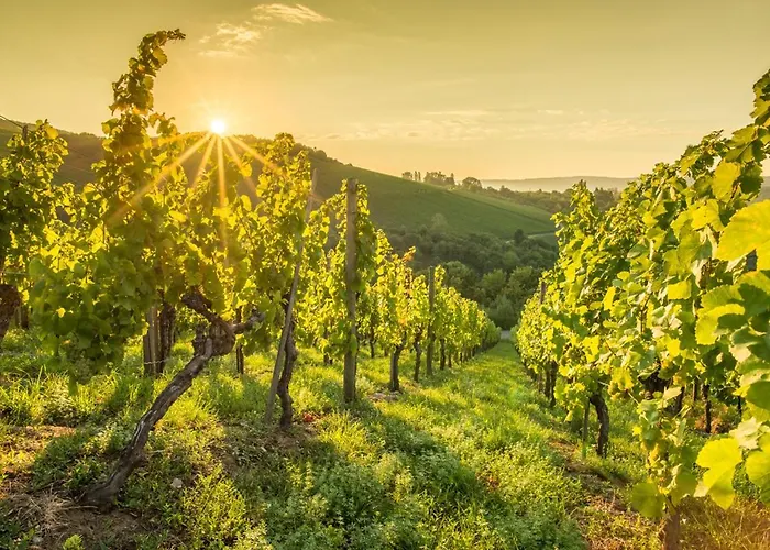 Gaestehaus Schlegel 3* Stetten