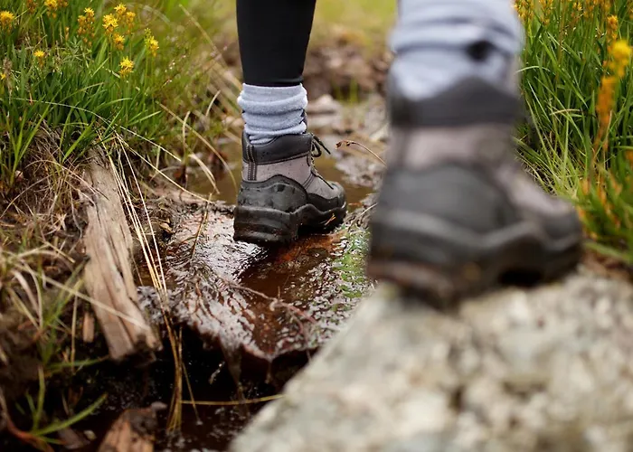 Gaestehaus Schlegel 3* Stetten