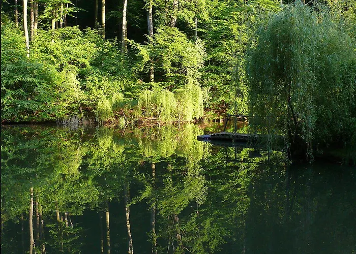 Gaestehaus Schlegel Stetten