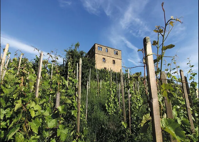 ゲストハウス Gaestehaus Schlegel 3*