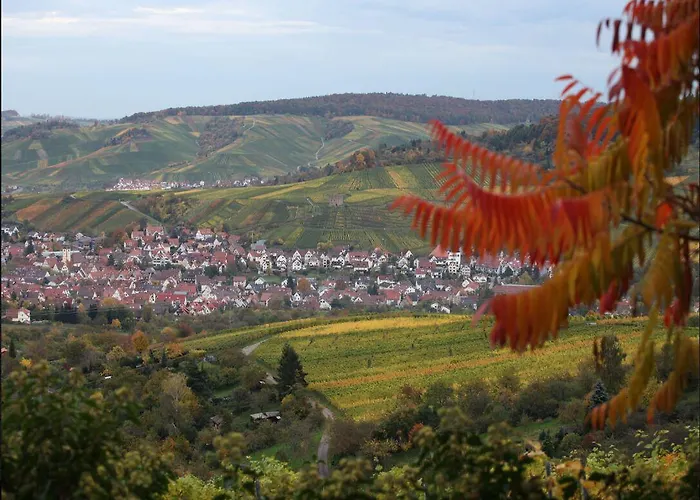 Gaestehaus Schlegel ゲストハウス Stetten